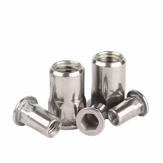 Metall Kupfer M20 M6 M12 Titan Spezial M2 Flachkopf Edelstahl Kundenspezifisches Messing M8 Blindniet-Nietmutter